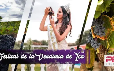 Vendimia de Ica | Tradiciones Vitivinícolas Peruanas